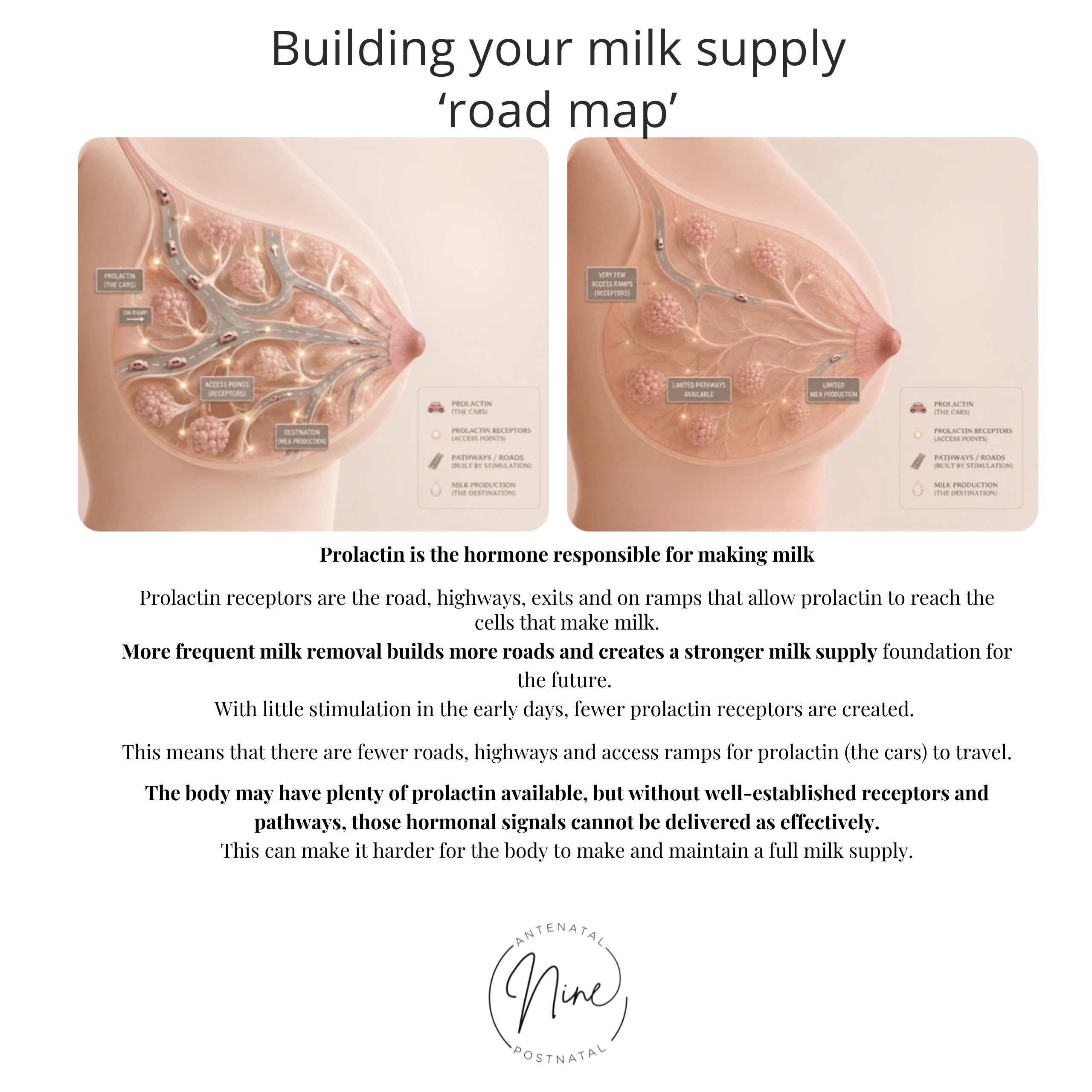 Guide to Pumping Breastmilk